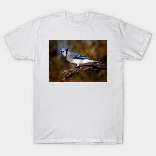 Blue Jay T-Shirt